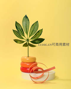 绿叶与彩色环的几何美学