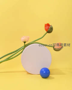 黄色背景下的花朵与几何图形静物