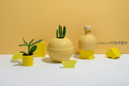 全黄调多肉植物与几何体的创意陈列