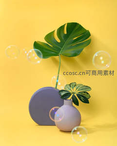 气泡环绕的龟背竹与花瓶静物