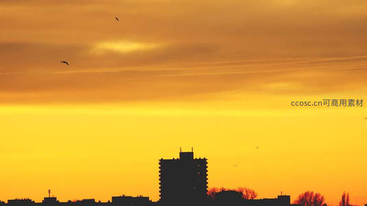 金色黄昏下的城市剪影与飞鸟