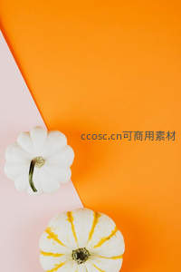 橙粉撞色背景上的白色小南瓜