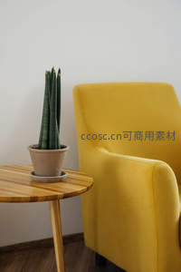 黄色沙发旁木桌上的虎尾兰盆栽