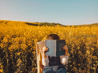 花海中捧书阅读的宁静时光