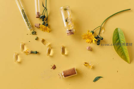 试管与胶囊中的植物能量展示