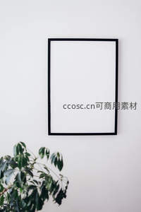 简约黑框挂墙，绿植点缀角落