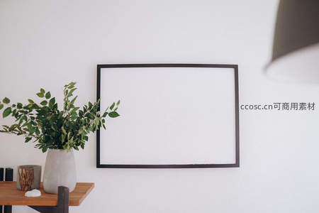 木质桌台绿植相伴，空框待装点