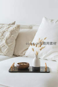 奶油风沙发角落静物托盘摆设