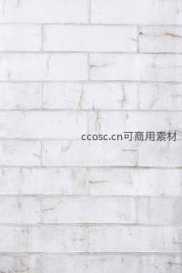 纯白砖墙纹理背景展现质朴美感