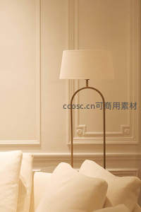 暖光落地灯下的舒适角落