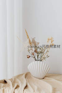 贝壳形花瓶盛放干花，置于米色织物之上