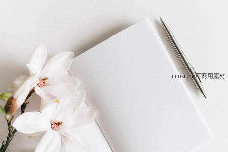 玉兰花伴白笔记本，银笔点缀静谧书桌时光
