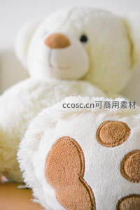 白色泰迪熊与毛绒爪子特写