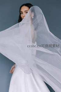 轻纱飞扬新娘若隐若现