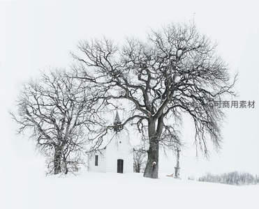 雪覆古寺，枯枝苍穹下的圣洁孤寂