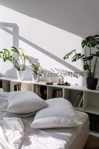 阳光洒落的极简卧室一角