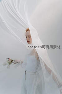 白纱飘逸的新娘侧影