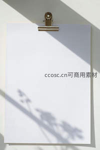 夹板上的空白纸张与植物阴影