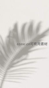 光影下的棕榈叶剪影