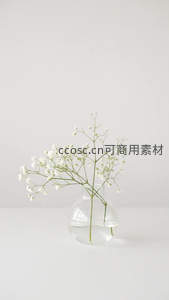 玻璃瓶中的满天星花束