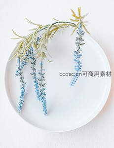 蓝白相间干花优雅点缀纯白瓷盘