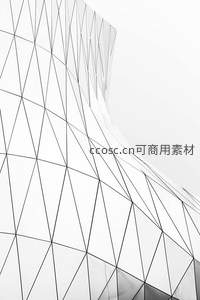 黑白几何线条勾勒未来主义建筑之美