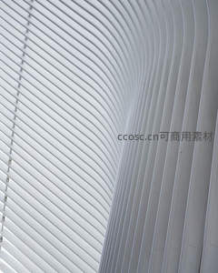 流畅曲线与平行线条交织的建筑细节