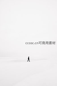 孤影行走在无垠雪原