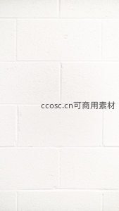 纯白砖墙的细腻肌理与简约美学