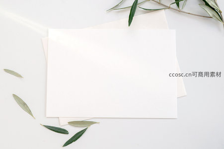 橄榄枝点缀的空白信纸构图