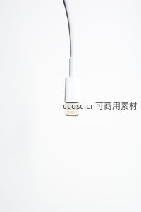 白色Lightning数据线接头特写