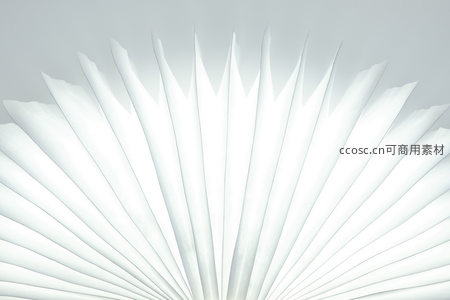 纸扇光影：微距下的几何美学