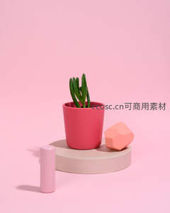 粉色盆栽多肉，几何摆件极简风