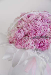 粉色牡丹花束特写，蕾丝与缎带点缀