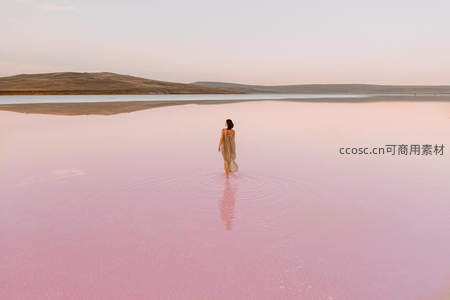 漫步梦幻粉红盐湖的旅人