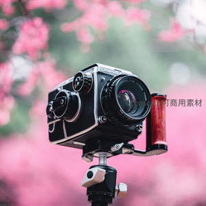 复古相机在粉色花海中的静谧特写