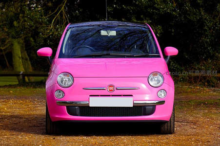 粉色菲亚特小车停在林间土路上