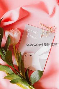 粉色郁金香与好运贺卡静物摆拍