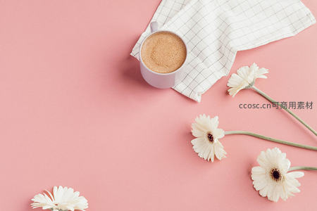 粉色背景上的咖啡与雏菊
