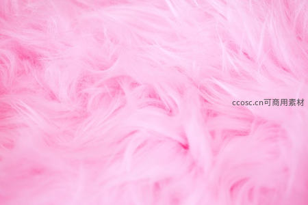 柔美粉色羽毛特写纹理