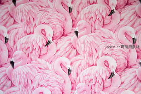 粉色火烈鸟群聚的梦幻羽毛世界