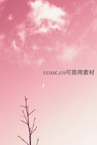 粉红天空下孤枝与新月的诗意剪影