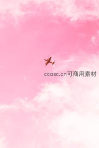 粉红天空中的飞机剪影