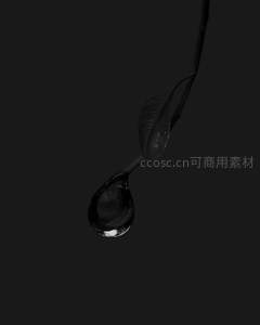 叶片尖端悬挂的晶莹水珠