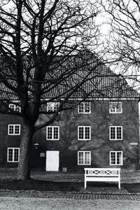 黑白庭院中的静谧时光