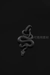 黑色蛇形吊坠精致冷峻设计