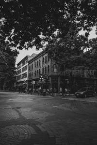 树荫下的城市街角日常