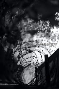 铁丝网后的幽径