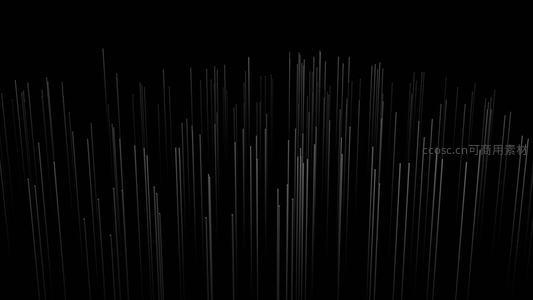 黑色背景上的白色垂直线条构成抽象图案