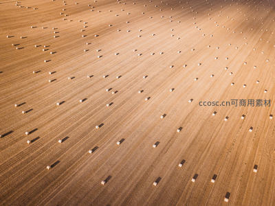 金色麦田航拍图，整齐排列的草捆点缀其间